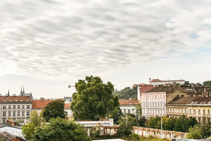 Pronájem pokoje, Brno, Sokolská, 87 m2