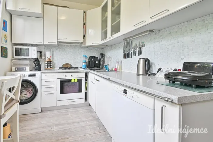 Pronájem bytu 3+1, Brno - Lesná, Haškova, 67 m2