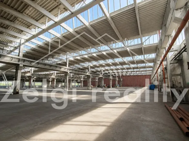 Pronájem výrobních prostor, Veselí nad Moravou, 2000 m2