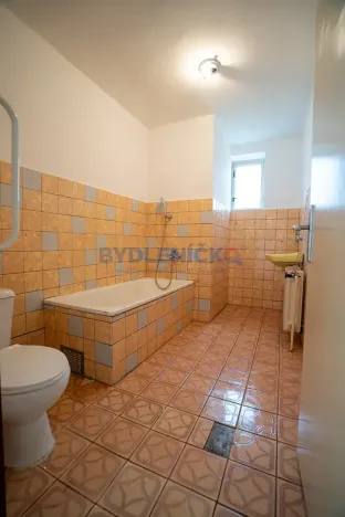 Prodej vícegeneračního domu, Střížov, 252 m2