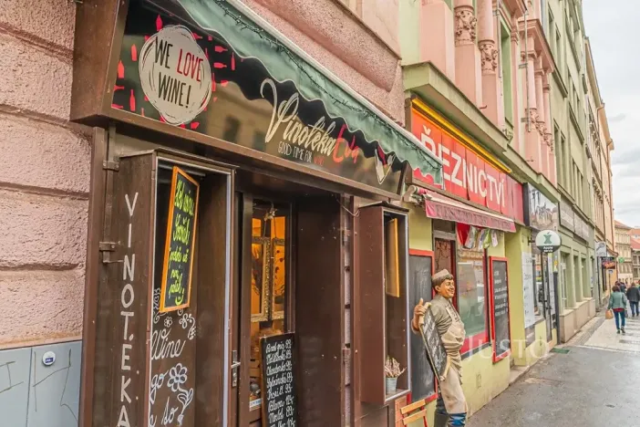 Pronájem bytu 1+1, Praha - Žižkov, Krásova, 32 m2