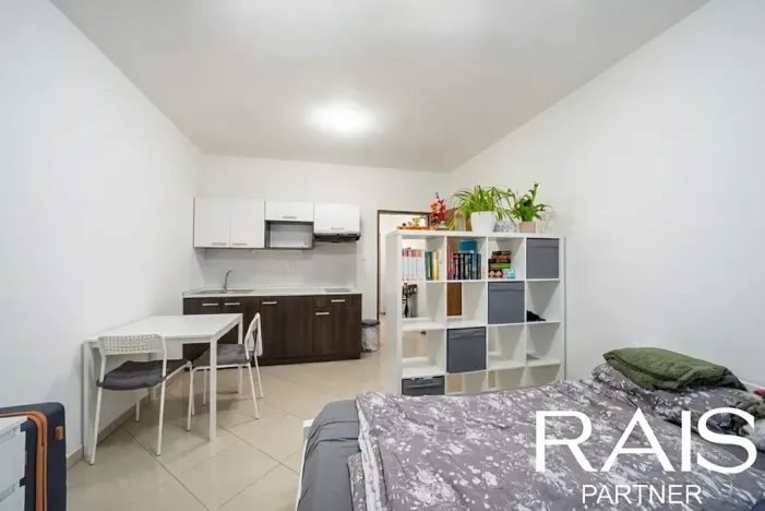 Prodej bytu 1+kk, Brno, Svitavská, 30 m2