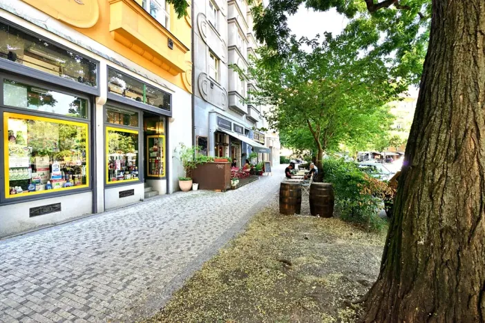 Pronájem bytu 3+kk, Praha - Bubeneč, dr. Zikmunda Wintra, 74 m2