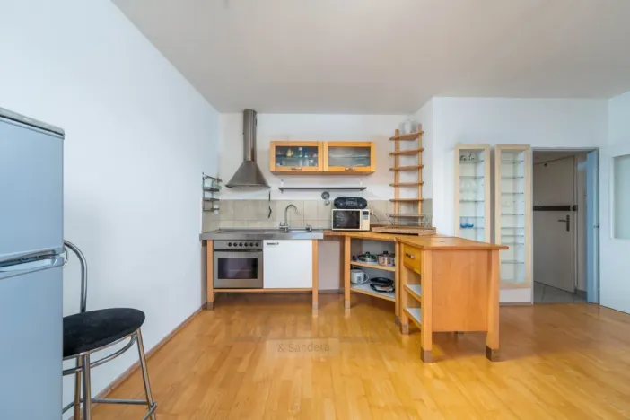 Prodej bytu 2+kk, České Budějovice - České Budějovice 3, Riegrova, 46 m2
