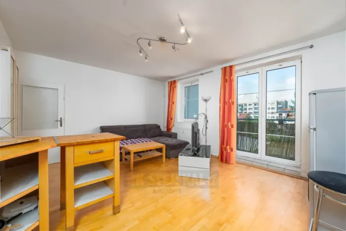 Prodej bytu 2+kk, České Budějovice - České Budějovice 3, Riegrova, 46 m2
