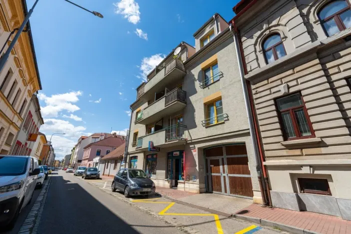 Prodej bytu 2+kk, České Budějovice - České Budějovice 3, Riegrova, 46 m2