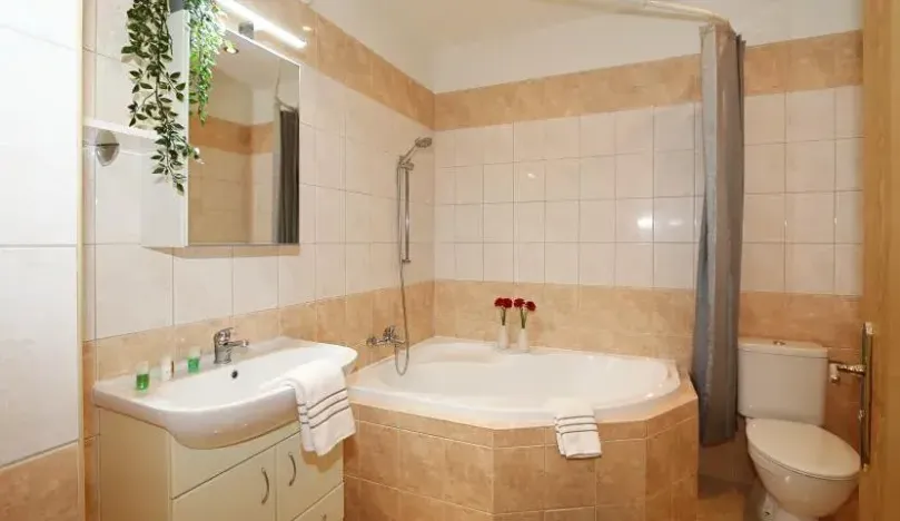 Pronájem bytu 3+kk, Praha - Vinohrady, Moravská, 65 m2