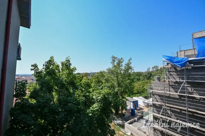 Pronájem bytu 2+1, Brno, Úvoz, 56 m2