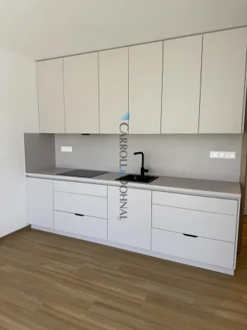 Pronájem bytu 1+kk, Ostrava - Slezská Ostrava, U Hájenky, 34 m2