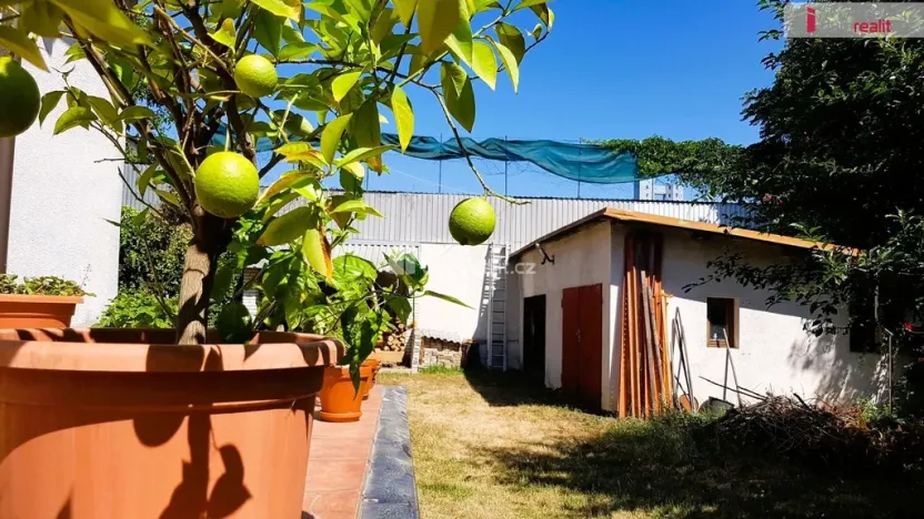 Prodej rodinného domu, Hodonín, Plucárna, 303 m2