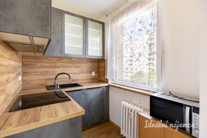 Pronájem bytu 1+kk, Praha - Chodov, Ledvinova, 29 m2