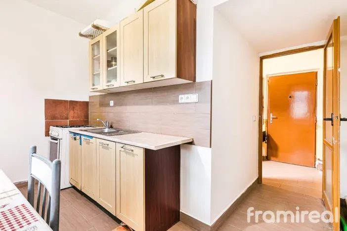 Prodej bytu 2+1, Brno, Renneská třída, 58 m2