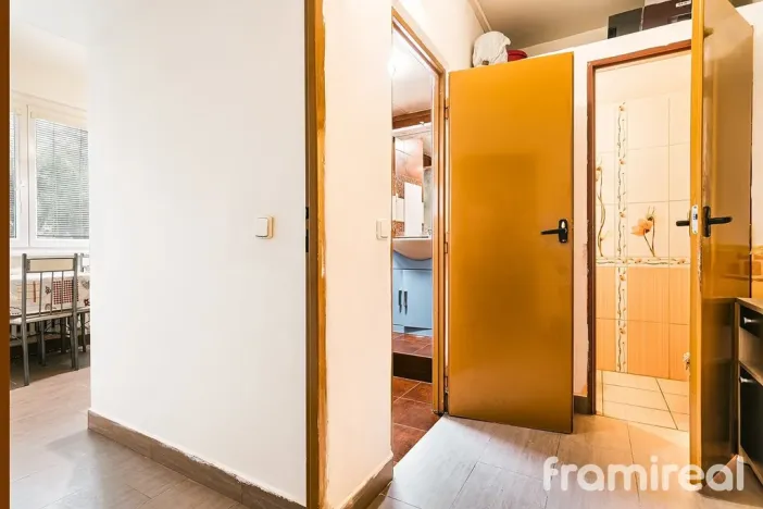 Prodej bytu 2+1, Brno, Renneská třída, 58 m2