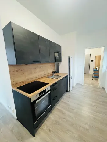 Pronájem bytu 1+kk, Lovosice, Zámecká, 60 m2