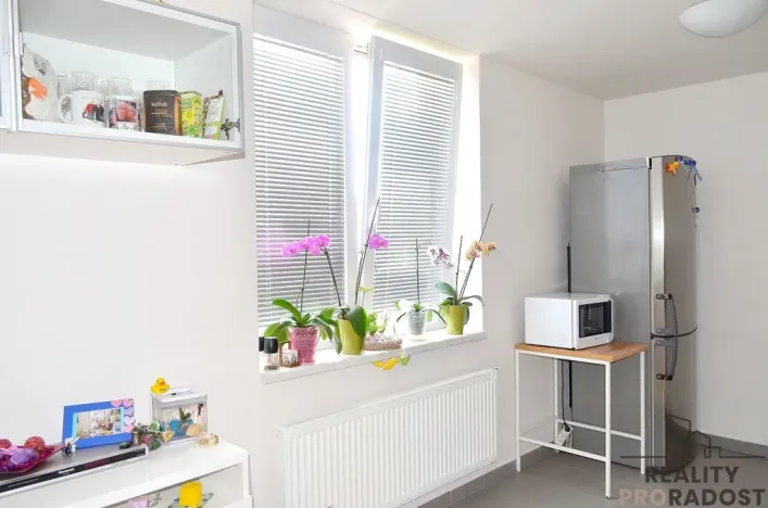 Pronájem bytu 1+kk, Brno, U Leskavy, 33 m2