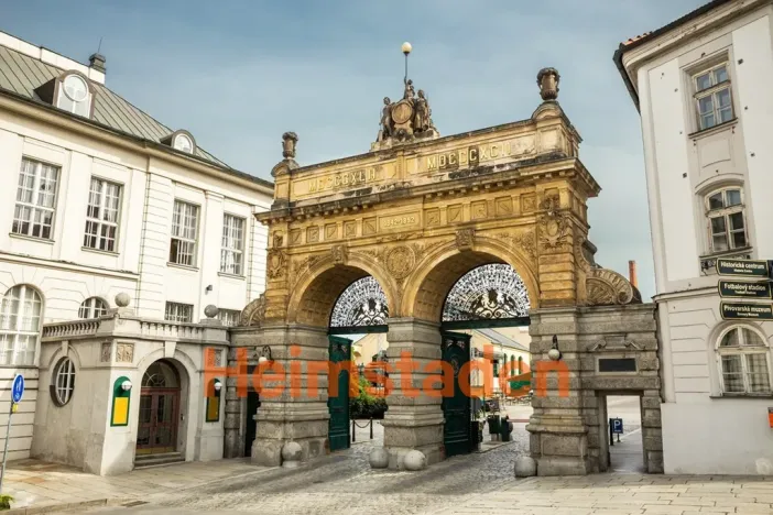 Pronájem bytu 1+kk, Plzeň - Jižní Předměstí, Magisterská, 27 m2
