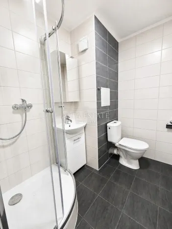 Pronájem bytu 1+kk, Chodov, Palackého, 20 m2