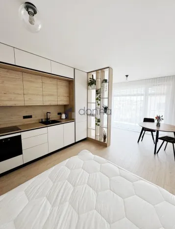 Pronájem bytu 1+kk, Praha, Jáchymovská, 33 m2