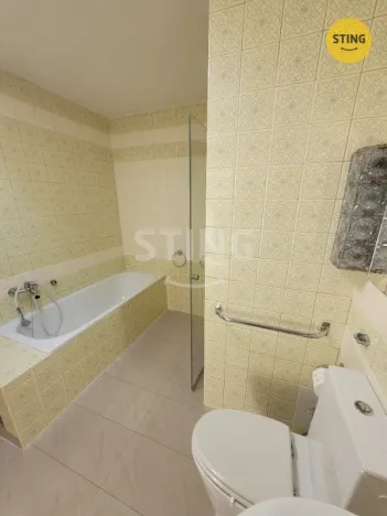 Pronájem bytu 1+kk, Opava, Gagarinova, 12 m2