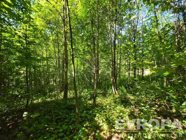 Prodej pozemku pro bydlení, Desná, okres jablonec nad nisou, Výletní, 6703 m2