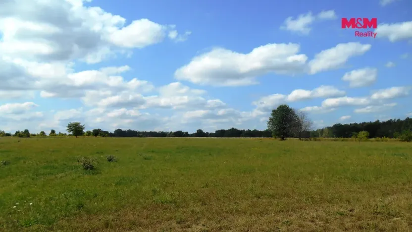 Prodej zemědělské usedlosti, Úštěk - Robeč, 1230 m2
