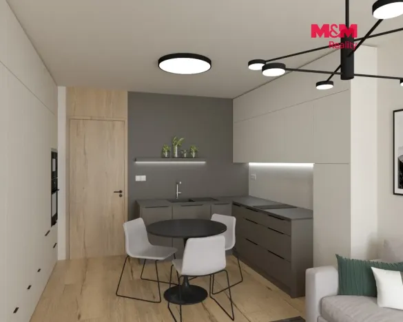Prodej bytu 1+kk, Olomouc, Eduarda Hamburgera, 33 m2