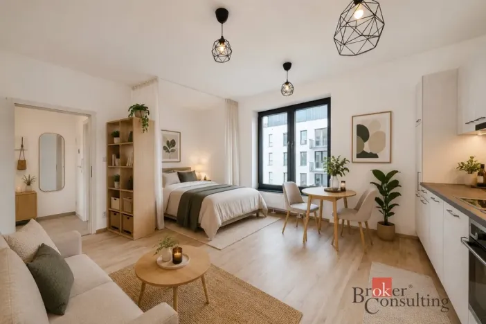 Pronájem bytu 1+kk, Plzeň - Jižní Předměstí, Železná, 28 m2