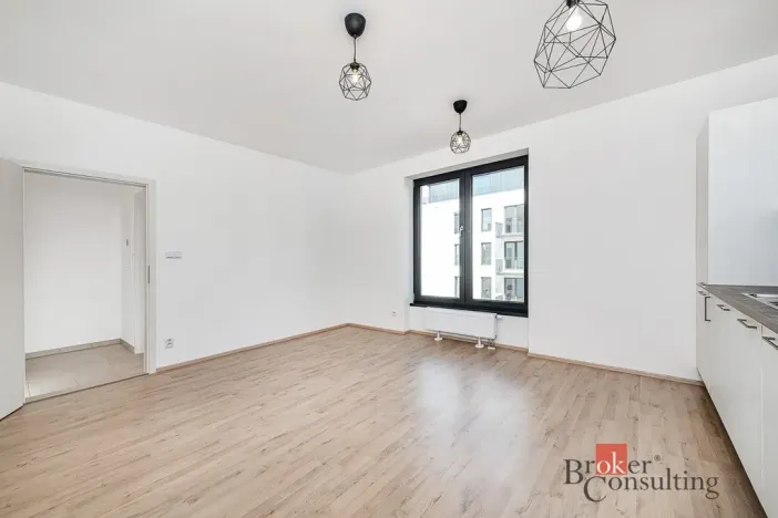 Pronájem bytu 1+kk, Plzeň - Jižní Předměstí, Železná, 28 m2