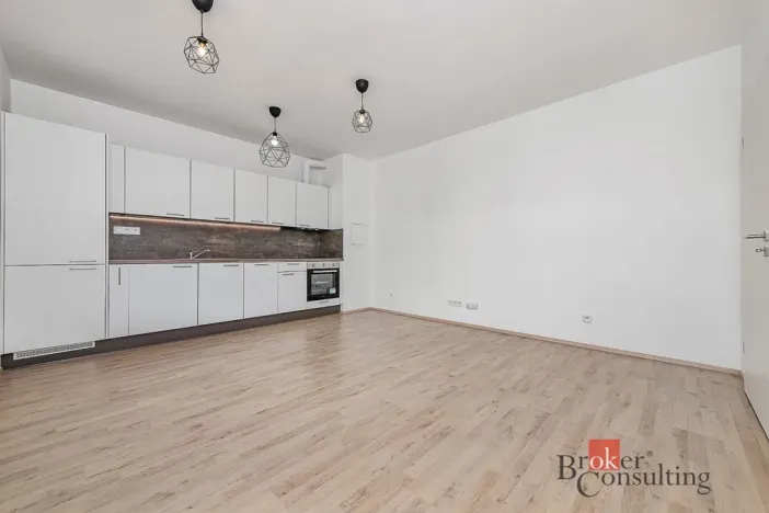 Pronájem bytu 1+kk, Plzeň - Jižní Předměstí, Železná, 28 m2