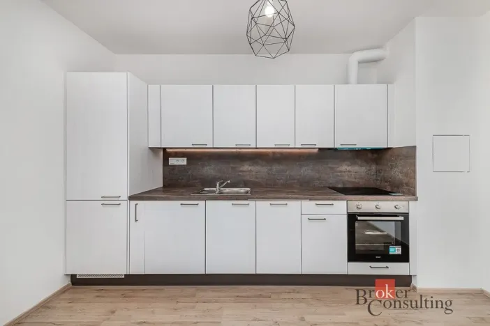 Pronájem bytu 1+kk, Plzeň - Jižní Předměstí, Železná, 28 m2