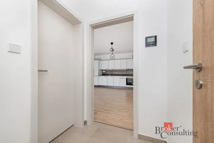 Pronájem bytu 1+kk, Plzeň - Jižní Předměstí, Železná, 28 m2