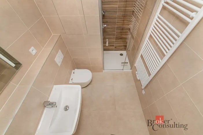 Pronájem bytu 1+kk, Plzeň - Jižní Předměstí, Železná, 28 m2