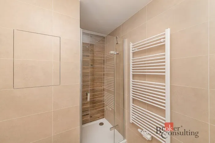 Pronájem bytu 1+kk, Plzeň - Jižní Předměstí, Železná, 28 m2