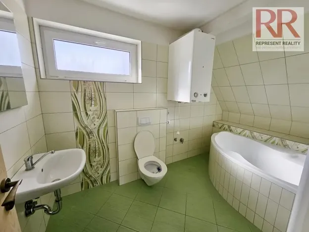 Pronájem obchodního prostoru, Plzeň, Mezi Ploty, 160 m2