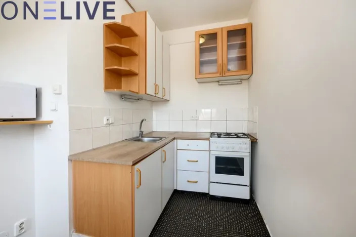 Prodej bytu 2+kk, Plzeň, U Světovaru, 46 m2