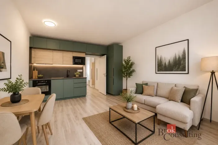 Pronájem bytu 1+kk, Plzeň - Jižní Předměstí, Železná, 38 m2