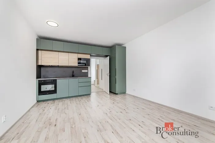 Pronájem bytu 1+kk, Plzeň - Jižní Předměstí, Železná, 38 m2