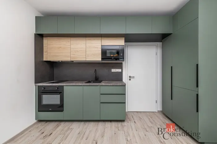 Pronájem bytu 1+kk, Plzeň - Jižní Předměstí, Železná, 38 m2