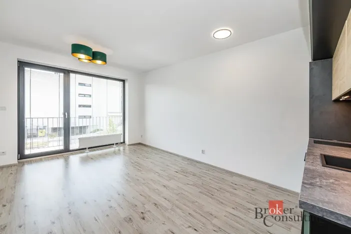 Pronájem bytu 1+kk, Plzeň - Jižní Předměstí, Železná, 38 m2