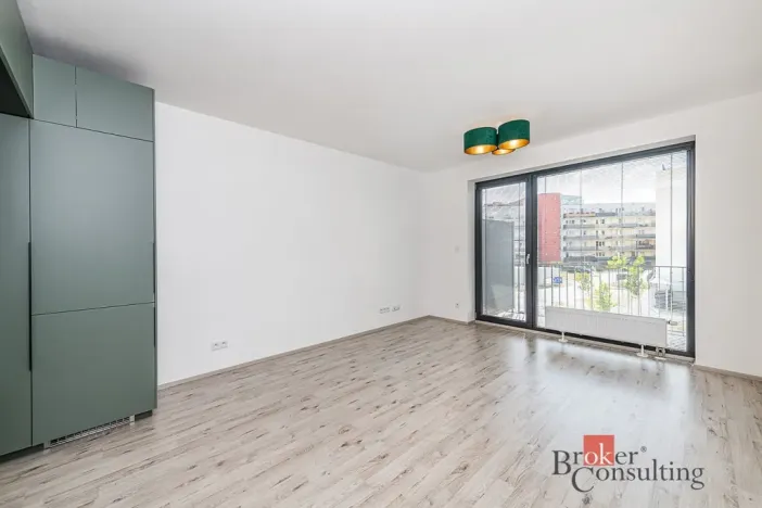 Pronájem bytu 1+kk, Plzeň - Jižní Předměstí, Železná, 38 m2