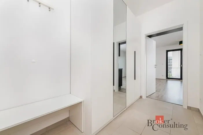 Pronájem bytu 1+kk, Plzeň - Jižní Předměstí, Železná, 38 m2