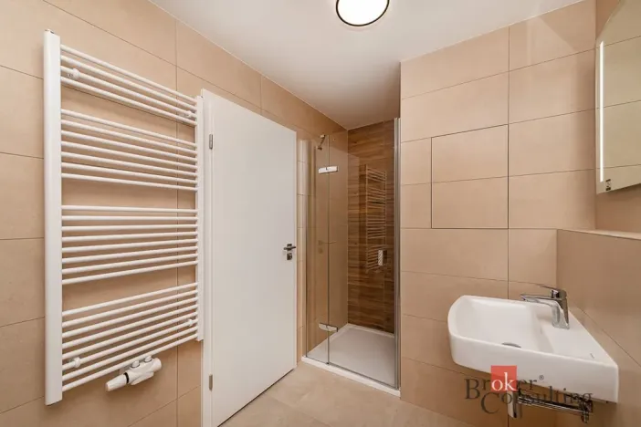 Pronájem bytu 1+kk, Plzeň - Jižní Předměstí, Železná, 38 m2