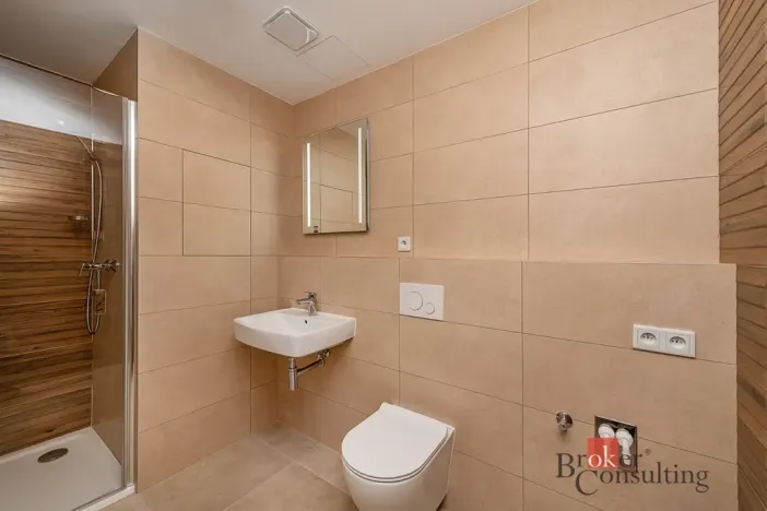Pronájem bytu 1+kk, Plzeň - Jižní Předměstí, Železná, 38 m2