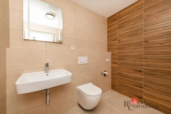 Pronájem bytu 1+kk, Plzeň - Jižní Předměstí, Železná, 38 m2