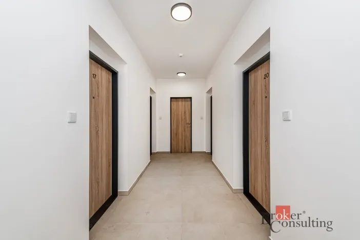 Pronájem bytu 1+kk, Plzeň - Jižní Předměstí, Železná, 38 m2