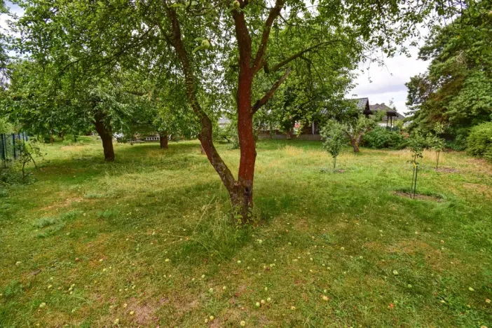 Prodej rodinného domu, Třemošná, Nové sídliště, 55 m2