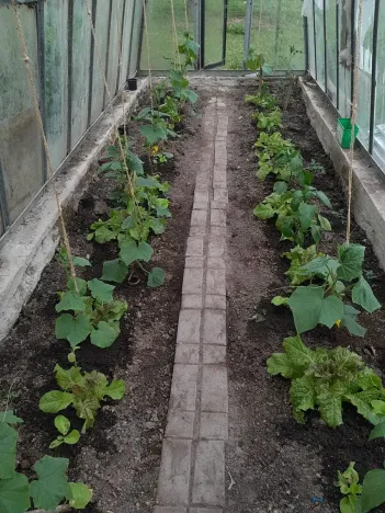 Prodej pozemku pro bydlení, Protivín, 1134 m2