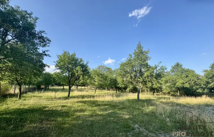 Prodej vícegeneračního domu, Vanovice, 450 m2