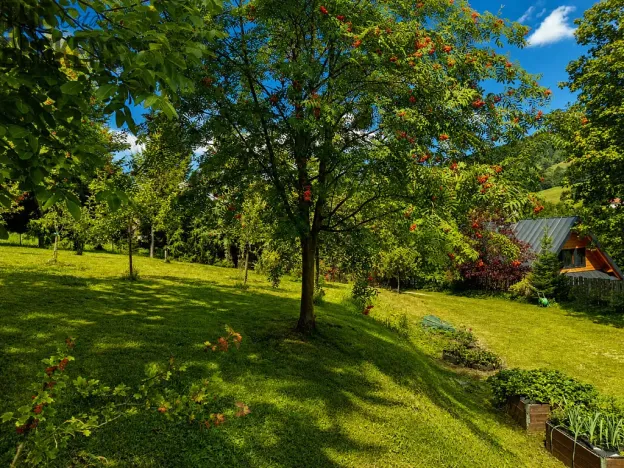 Prodej rodinného domu, Vrchlabí - Hořejší Vrchlabí, Pod Žalým, 125 m2