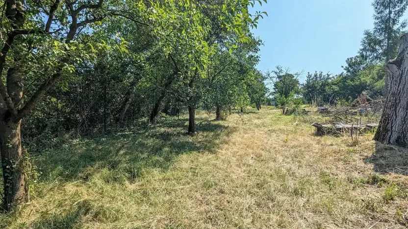 Prodej zahrady, Brno, 682 m2